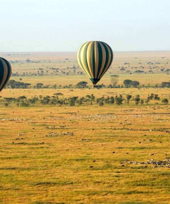 Discovery Tanzania