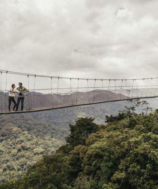 Discover Canopy walk