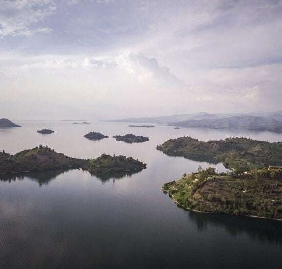 8 days special Kivu expedition